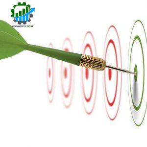 هدف در زندگی 2