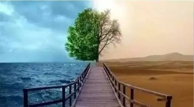 مأموریت زندگی۴