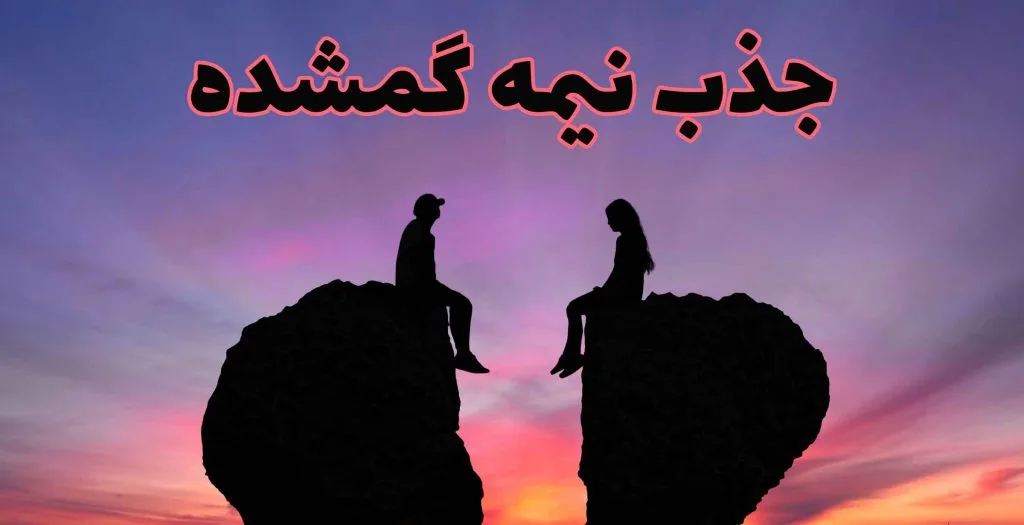 نيمه گمشده 2