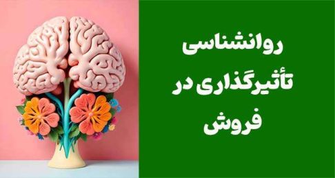 روانشناسی تأثیرگذاری در فروش: ۷ تکنیک که فروش من را ۳ برابر کرد (تجربه واقعی)