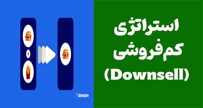 استراتژی کم‌فروشی (Downsell)
